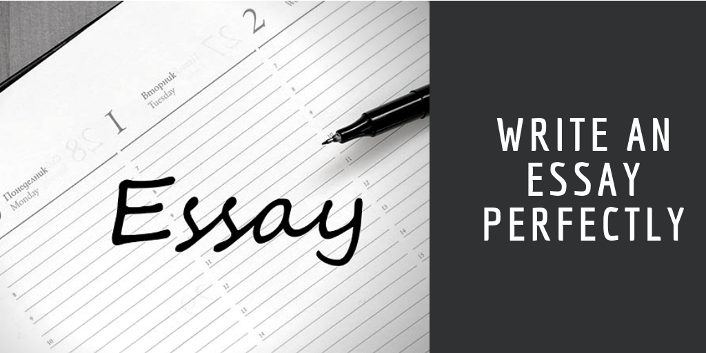 Essay